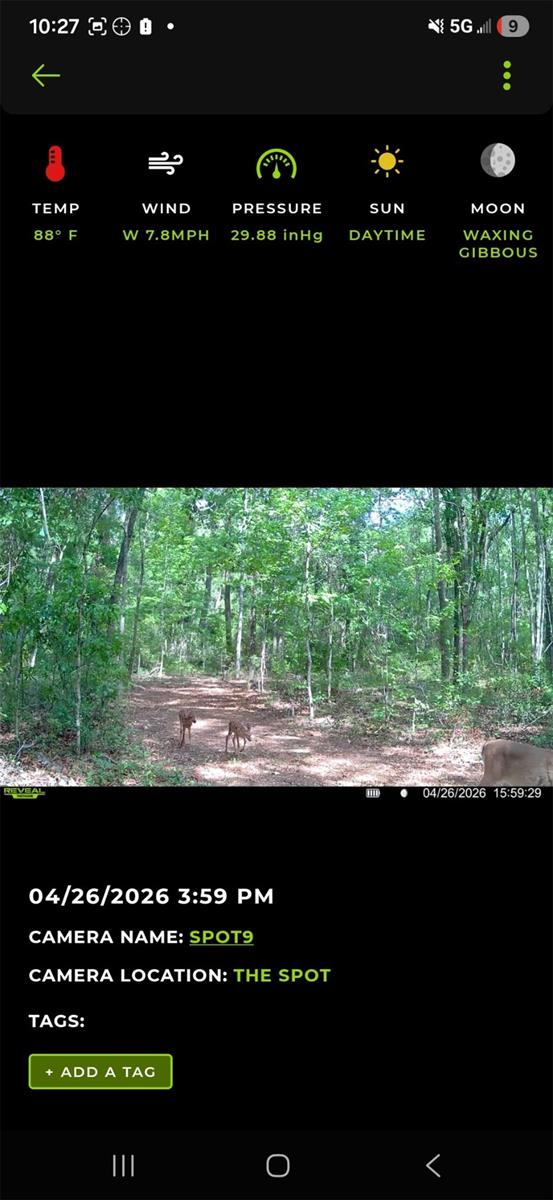 4814 NW 244 AVE, ALACHUA, FL, 32615