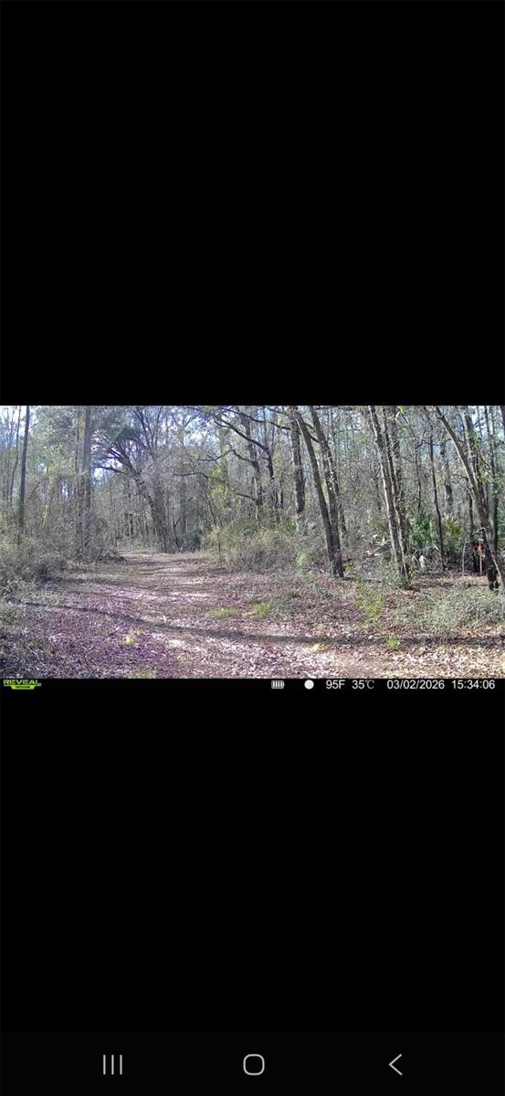 4814 NW 244 AVE, ALACHUA, FL, 32615