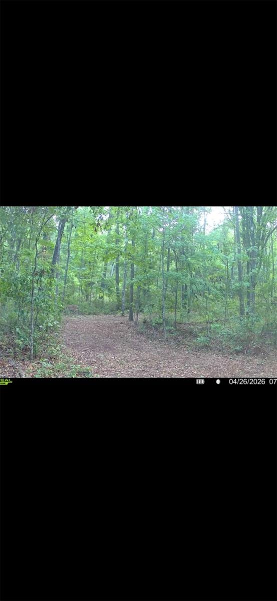 4814 NW 244 AVE, ALACHUA, FL, 32615