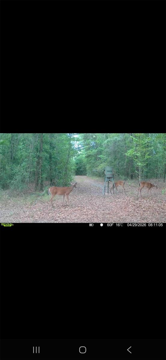 4814 NW 244 AVE, ALACHUA, FL, 32615