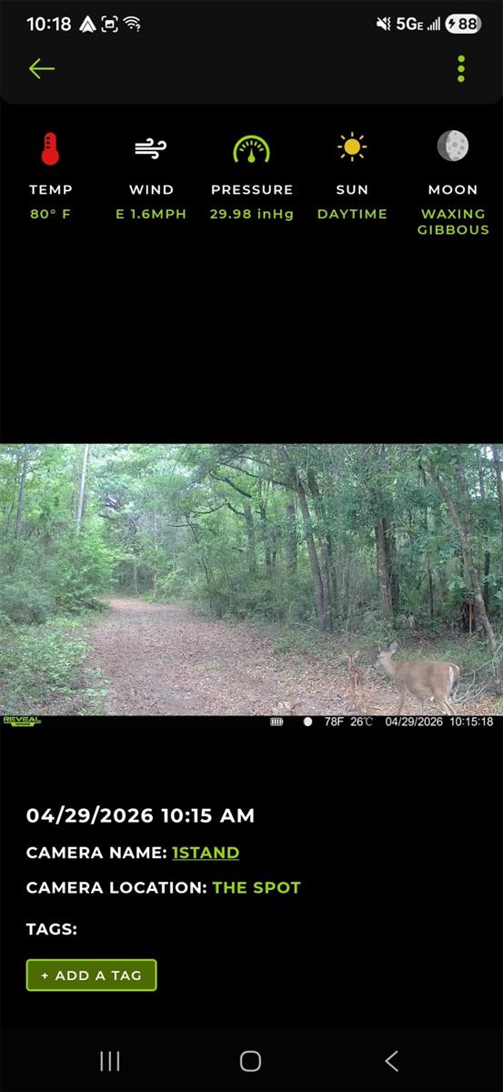4814 NW 244 AVE, ALACHUA, FL, 32615