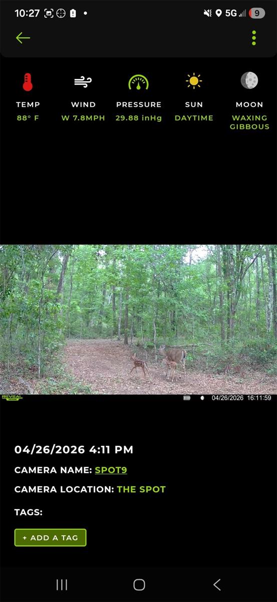 4814 NW 244 AVE, ALACHUA, FL, 32615