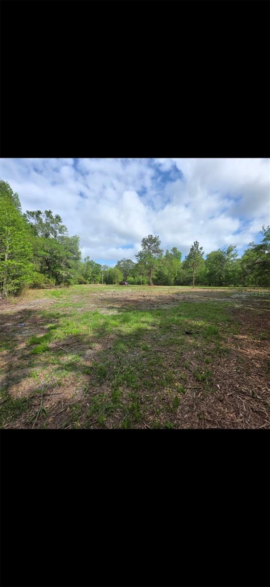 4814 NW 244 AVE, ALACHUA, FL, 32615