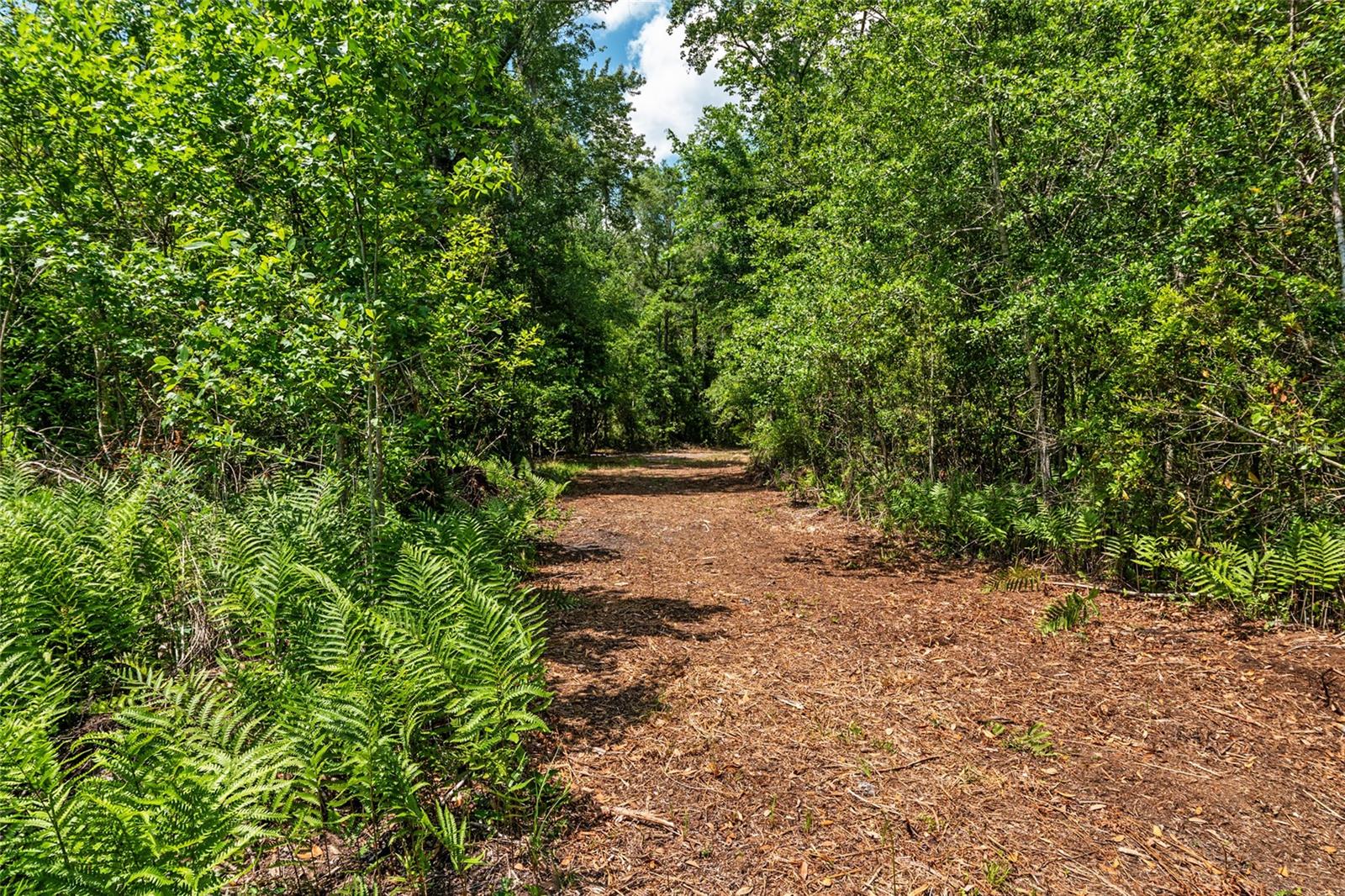 4814 NW 244 AVE, ALACHUA, FL, 32615