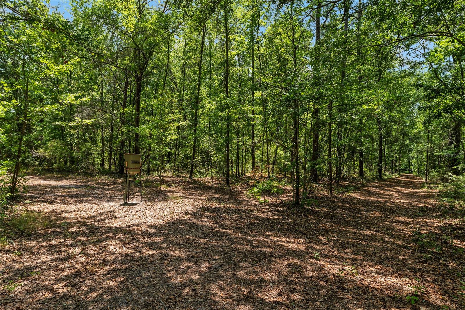 4814 NW 244 AVE, ALACHUA, FL, 32615