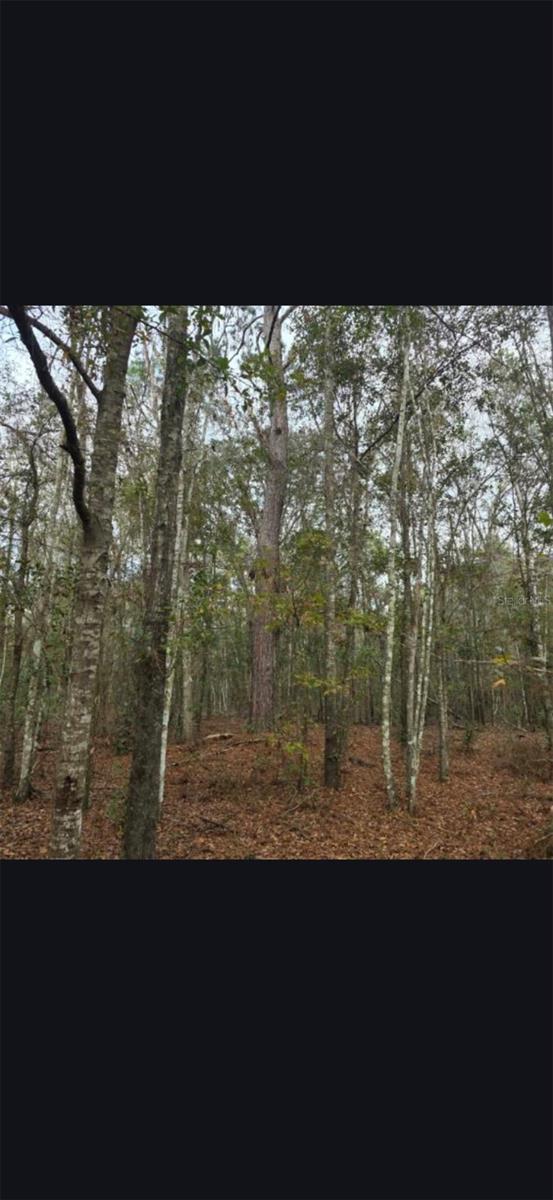 4814 NW 244 AVE, ALACHUA, FL, 32615