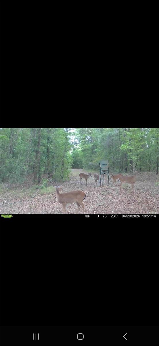 4814 NW 244 AVE, ALACHUA, FL, 32615