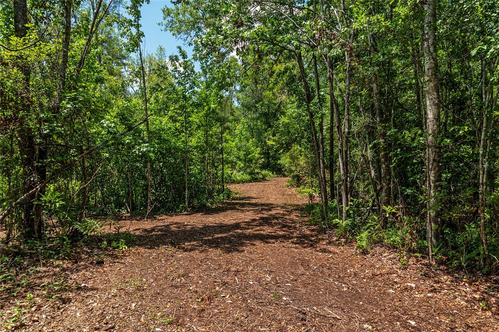 4814 NW 244 AVE, ALACHUA, FL, 32615