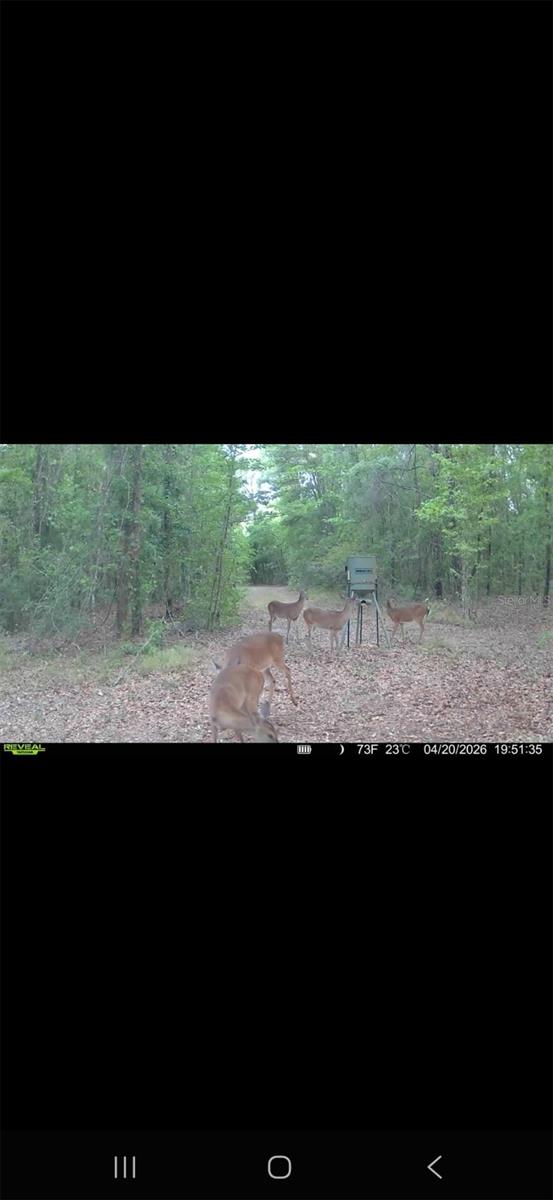 4814 NW 244 AVE, ALACHUA, FL, 32615