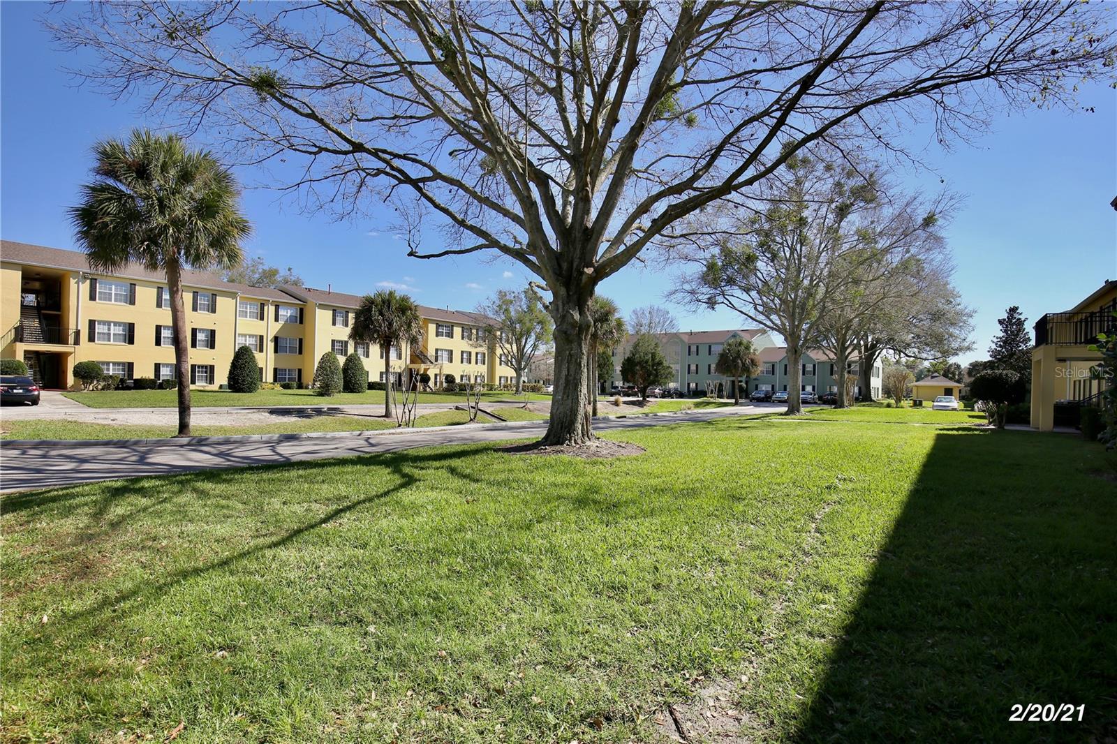 2071 DIXIE BELLE DR #2071D, ORLANDO, FL, 32812