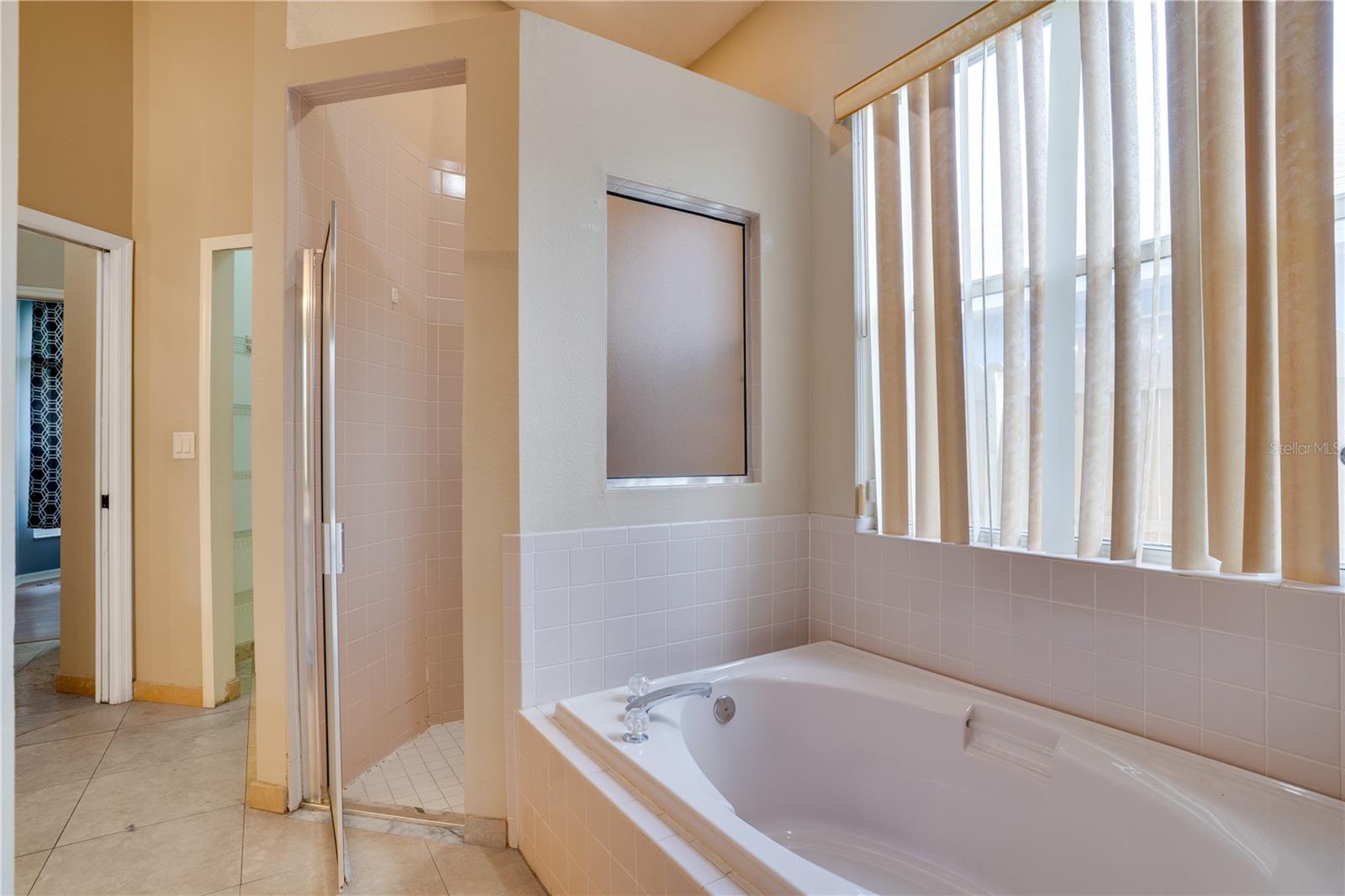 1769 WOOD BEND ST, TARPON SPRINGS, FL, 34689