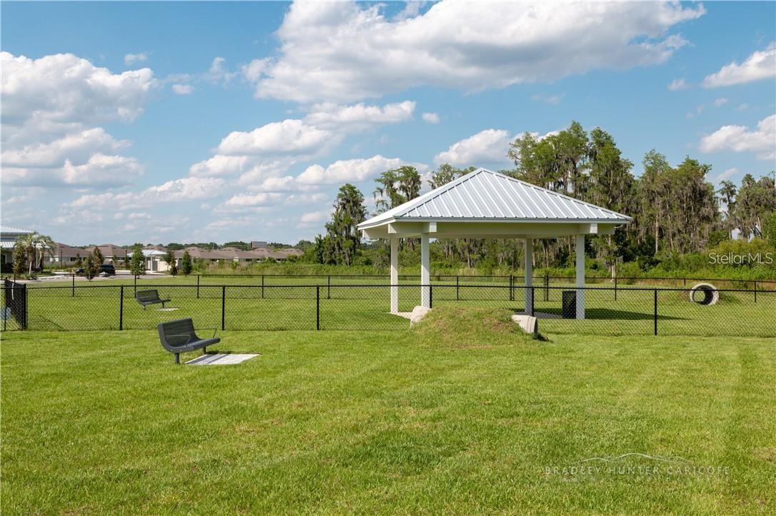 18379 FALLING PINE NEEDLE LN, LAND O LAKES, FL, 34638