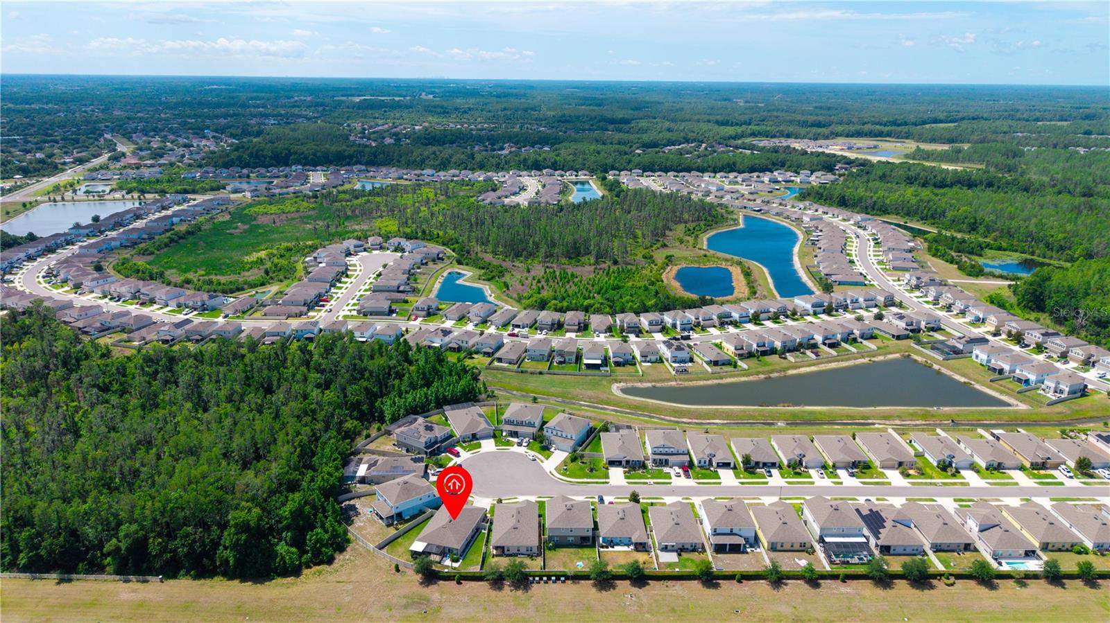 18379 FALLING PINE NEEDLE LN, LAND O LAKES, FL, 34638