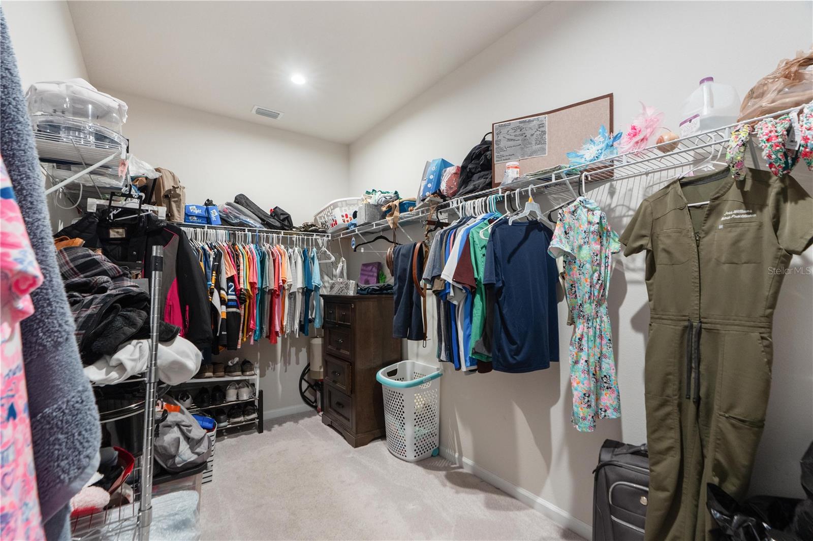 18379 FALLING PINE NEEDLE LN, LAND O LAKES, FL, 34638