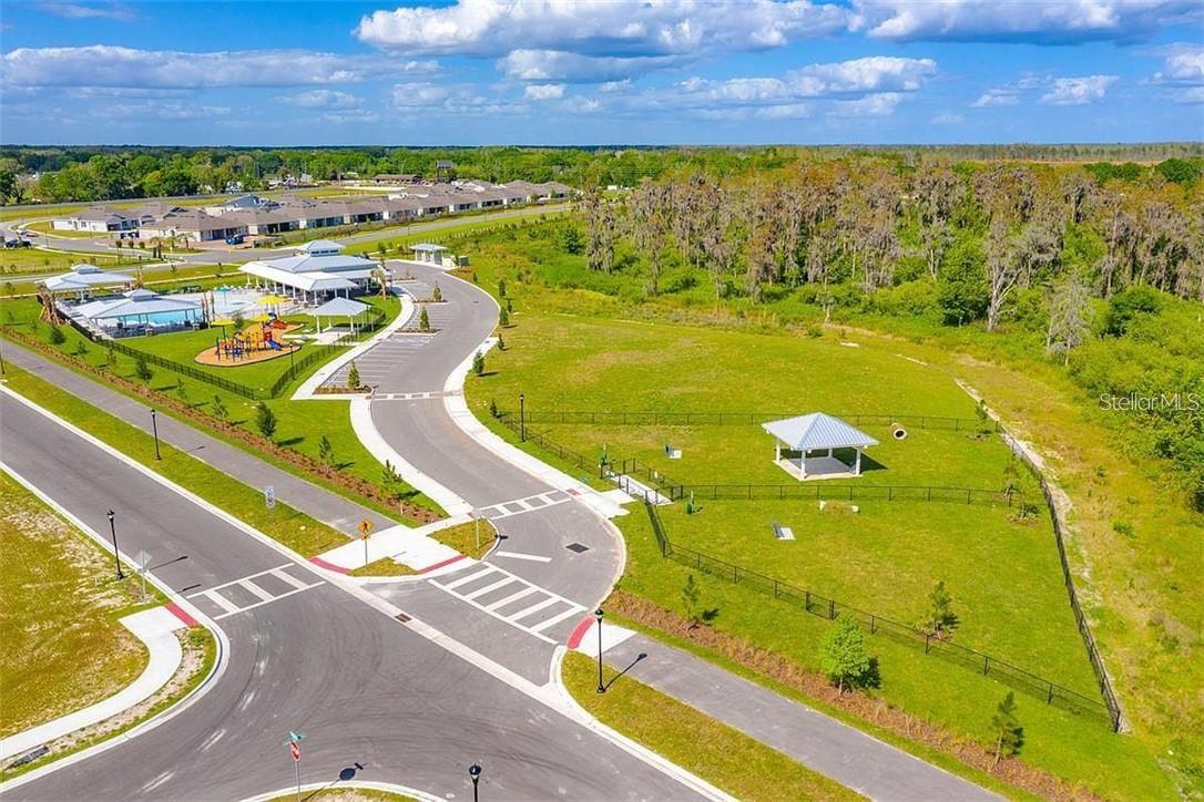 18379 FALLING PINE NEEDLE LN, LAND O LAKES, FL, 34638
