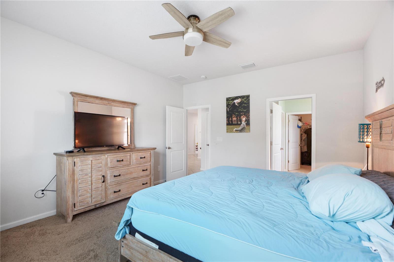 18379 FALLING PINE NEEDLE LN, LAND O LAKES, FL, 34638
