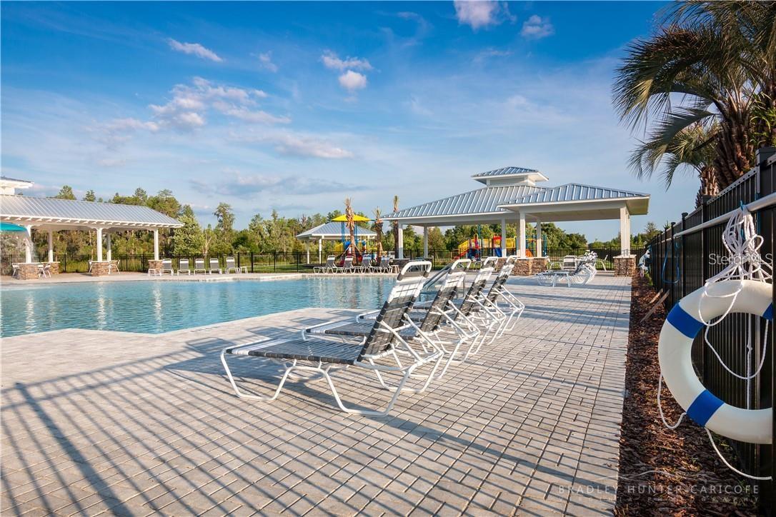 18379 FALLING PINE NEEDLE LN, LAND O LAKES, FL, 34638