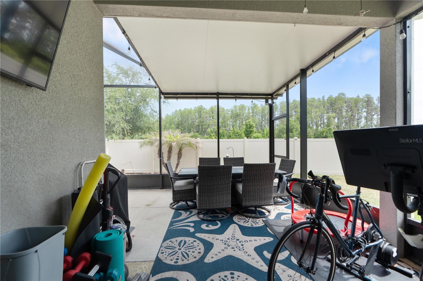 18379 FALLING PINE NEEDLE LN, LAND O LAKES, FL, 34638