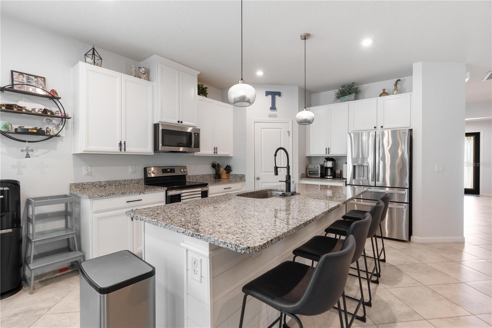 18379 FALLING PINE NEEDLE LN, LAND O LAKES, FL, 34638