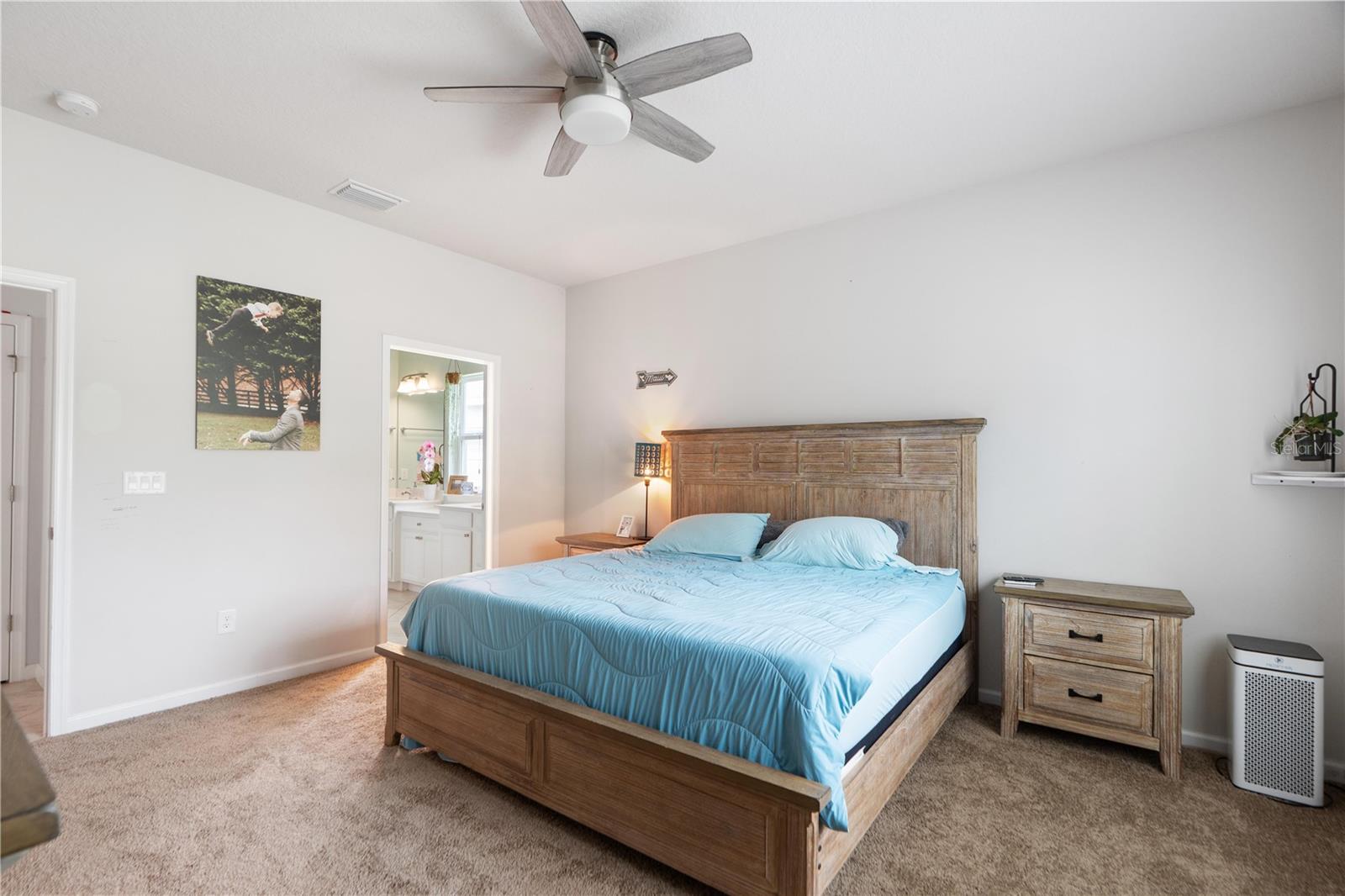 18379 FALLING PINE NEEDLE LN, LAND O LAKES, FL, 34638