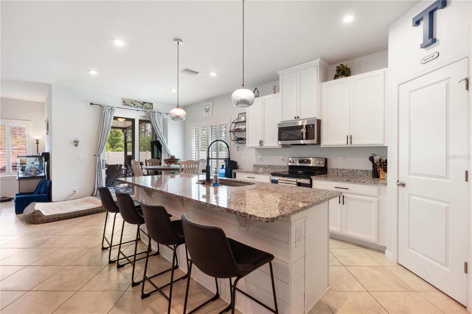 18379 FALLING PINE NEEDLE LN, LAND O LAKES, FL, 34638