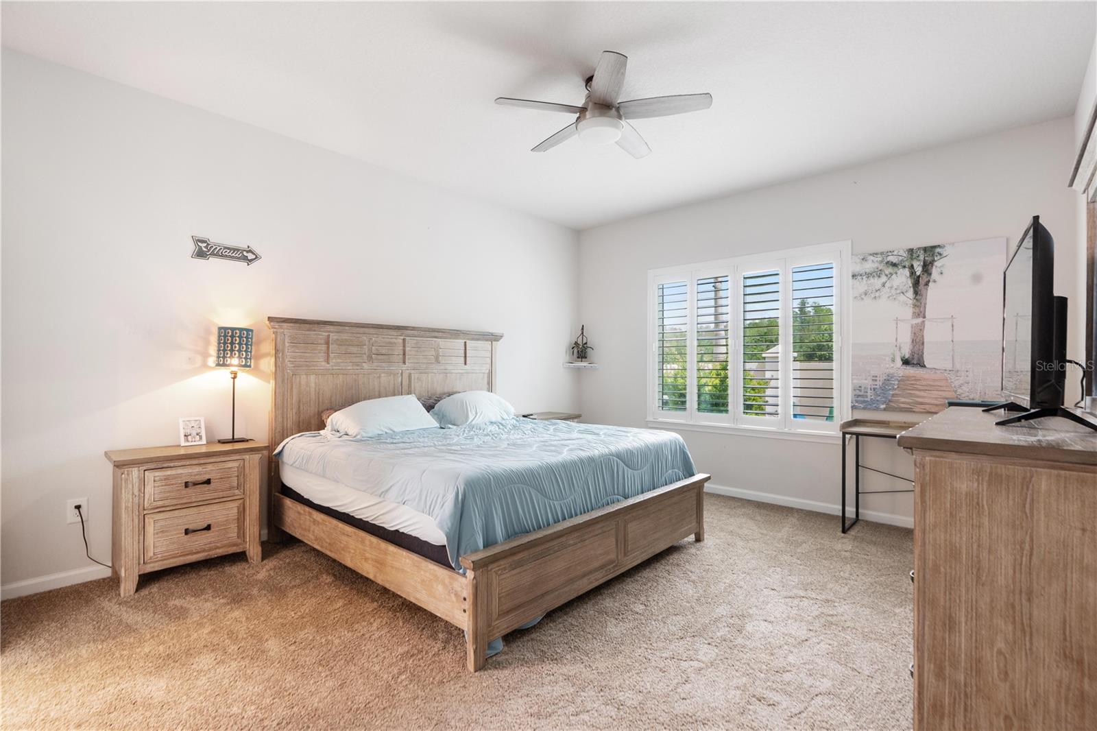 18379 FALLING PINE NEEDLE LN, LAND O LAKES, FL, 34638