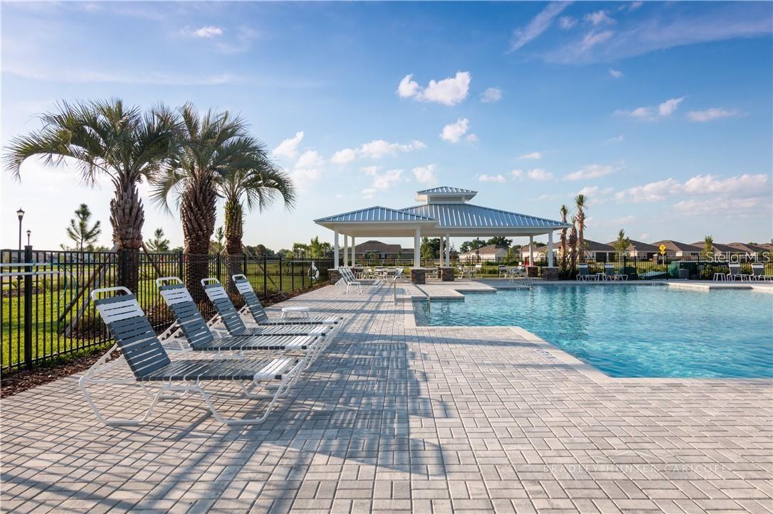 18379 FALLING PINE NEEDLE LN, LAND O LAKES, FL, 34638