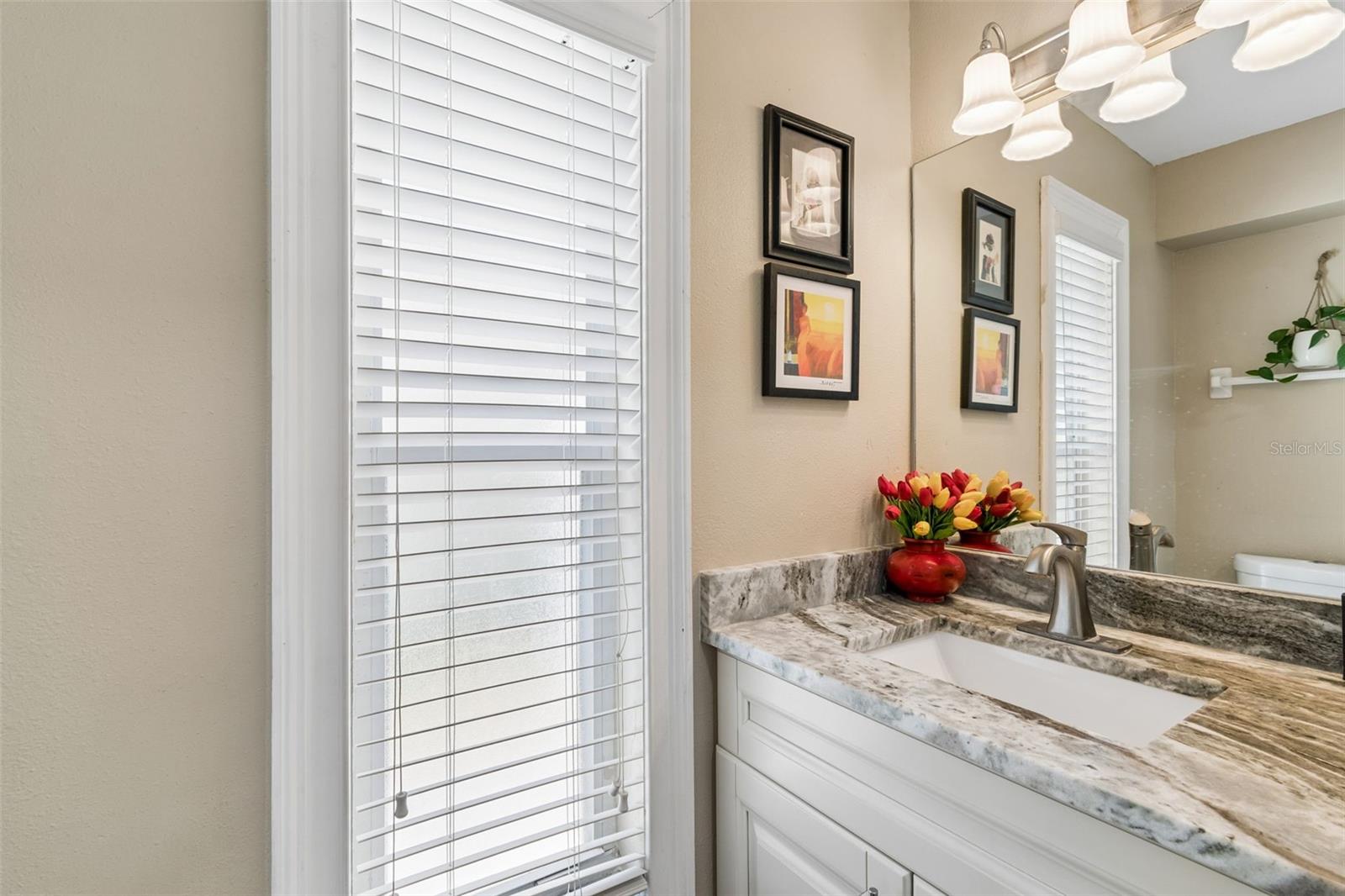 9803 LONG MEADOW DR, TAMPA, FL, 33615