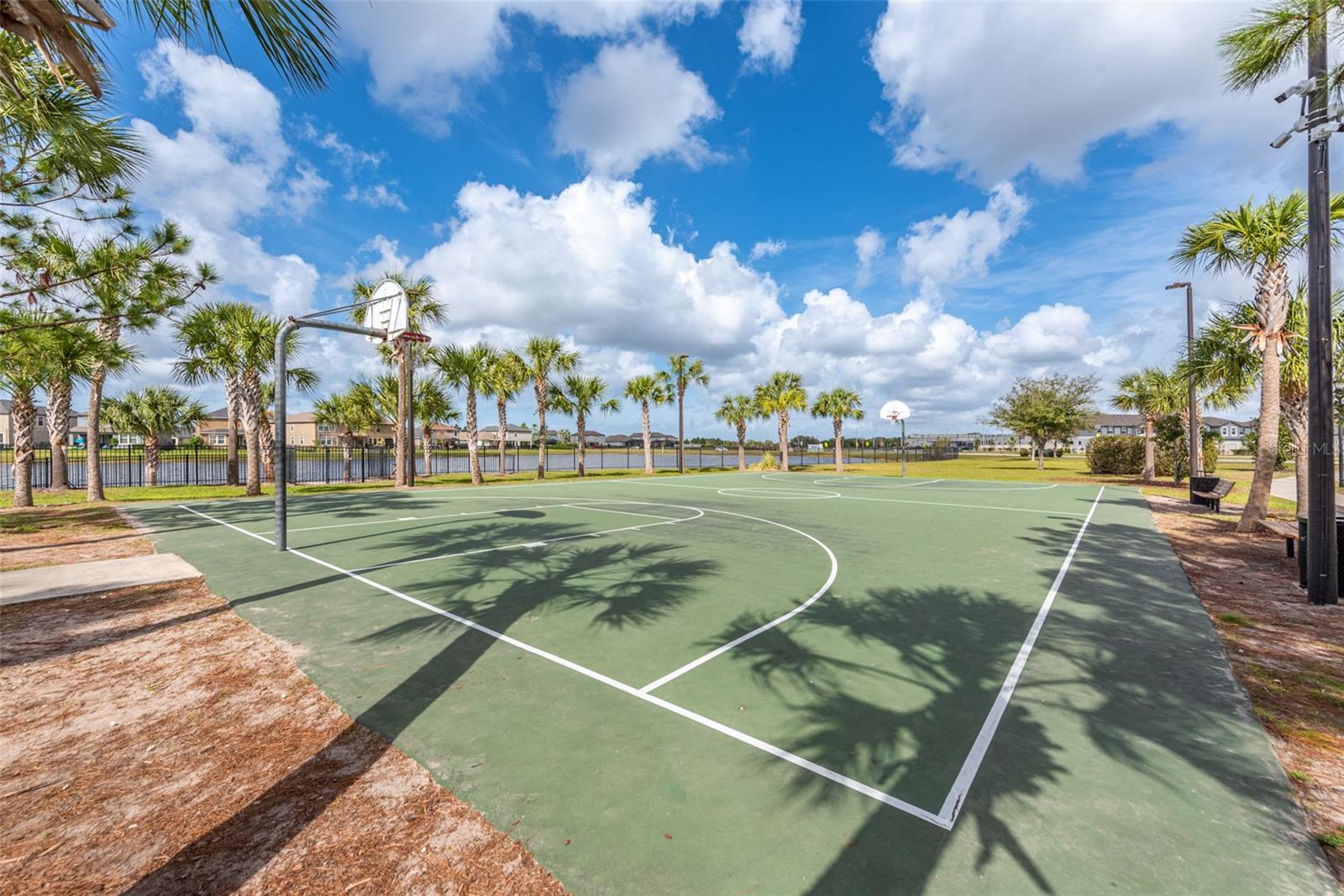 10109 CELTIC ASH DR, RUSKIN, FL, 33573