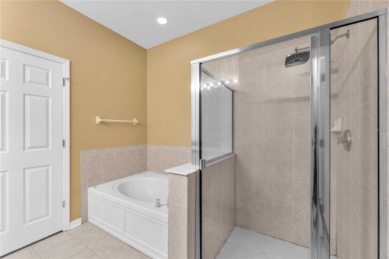 10109 CELTIC ASH DR, RUSKIN, FL, 33573