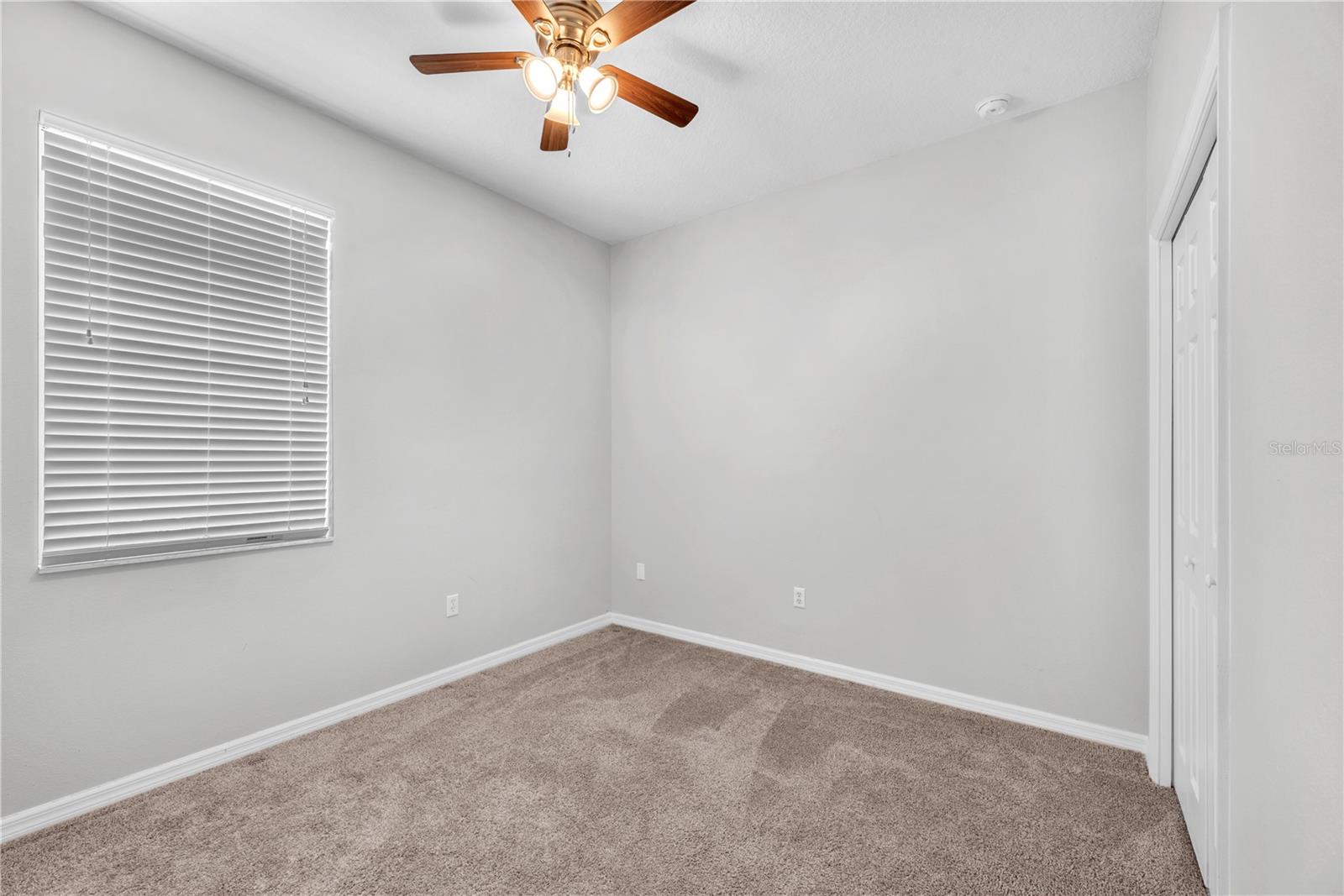 10109 CELTIC ASH DR, RUSKIN, FL, 33573