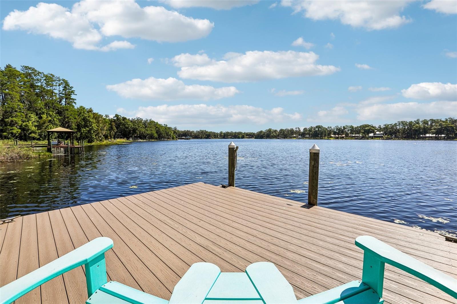 16117 SUNCREST SHORES DR, ODESSA, FL, 33556