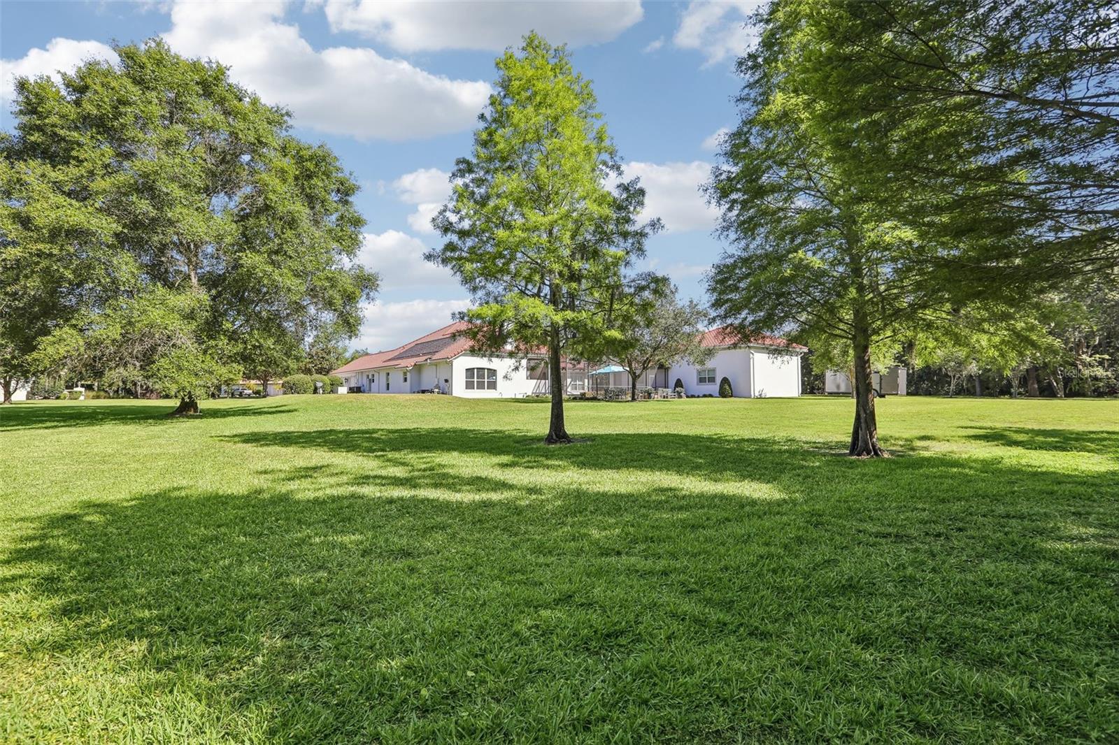 16117 SUNCREST SHORES DR, ODESSA, FL, 33556