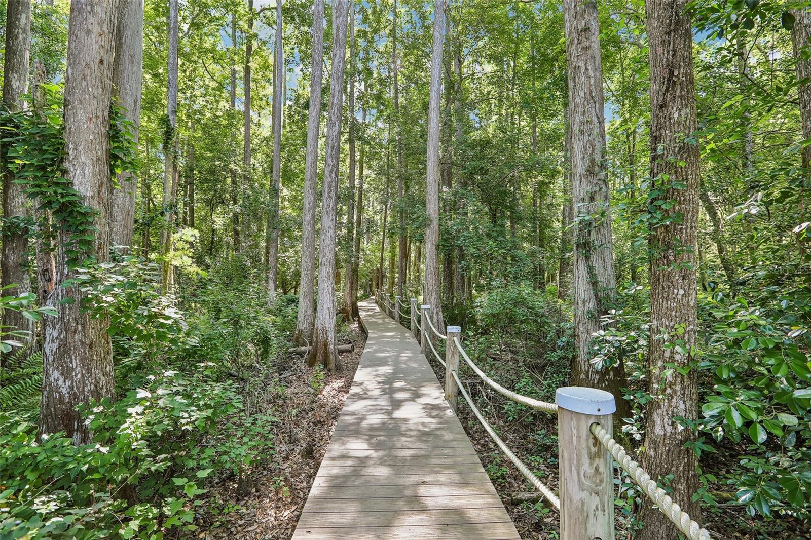 16117 SUNCREST SHORES DR, ODESSA, FL, 33556
