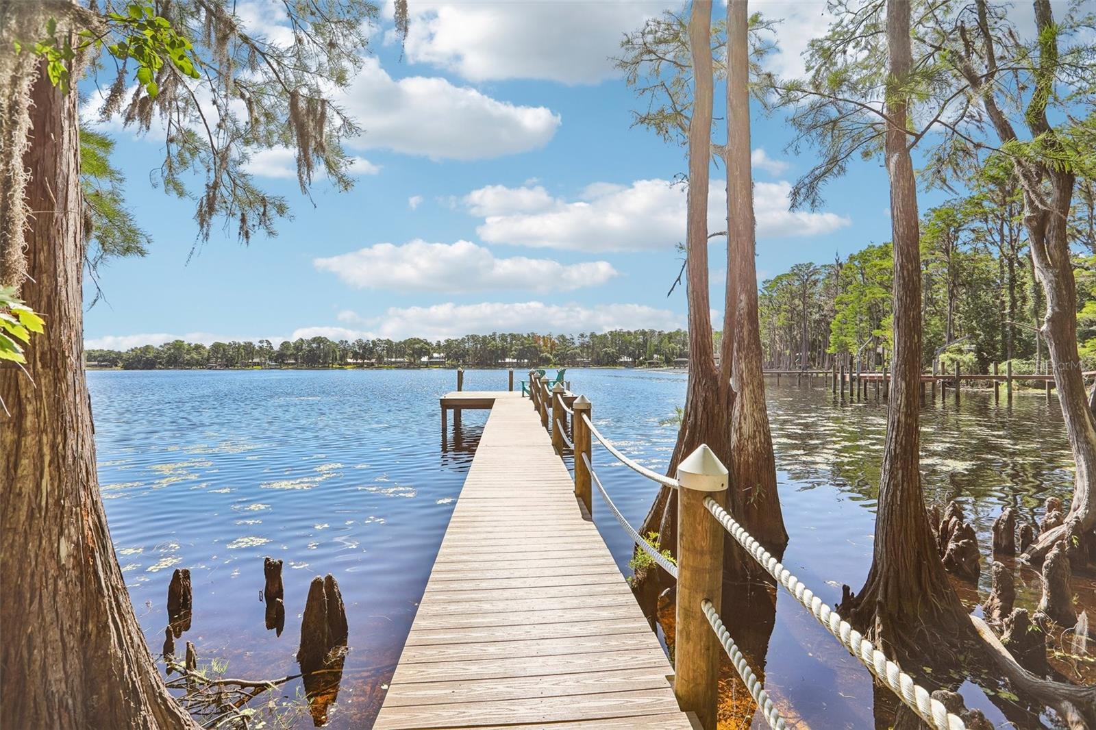 16117 SUNCREST SHORES DR, ODESSA, FL, 33556