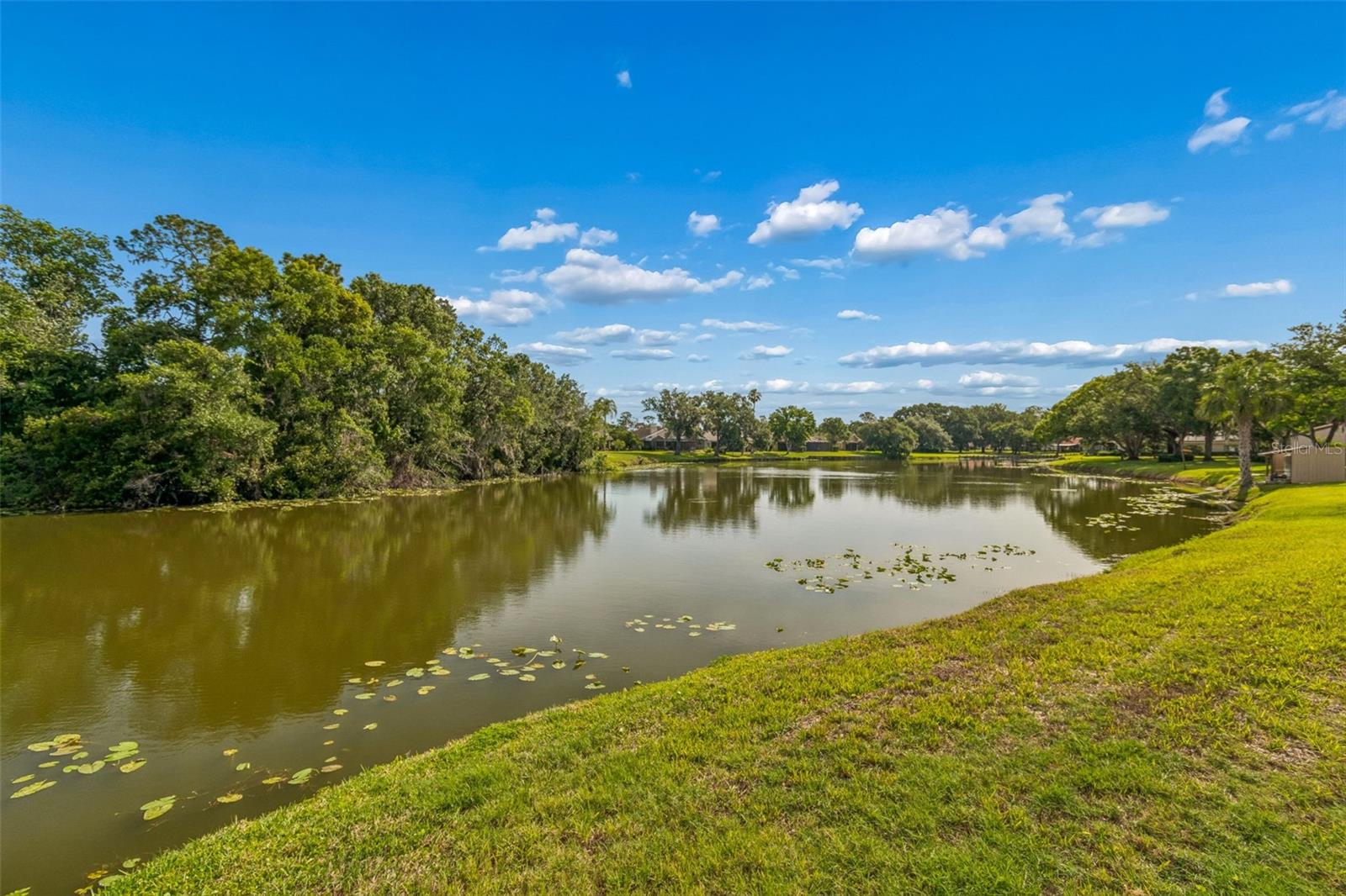 2318 VILLAGE GREEN BLVD, PLANT CITY, FL, 33566