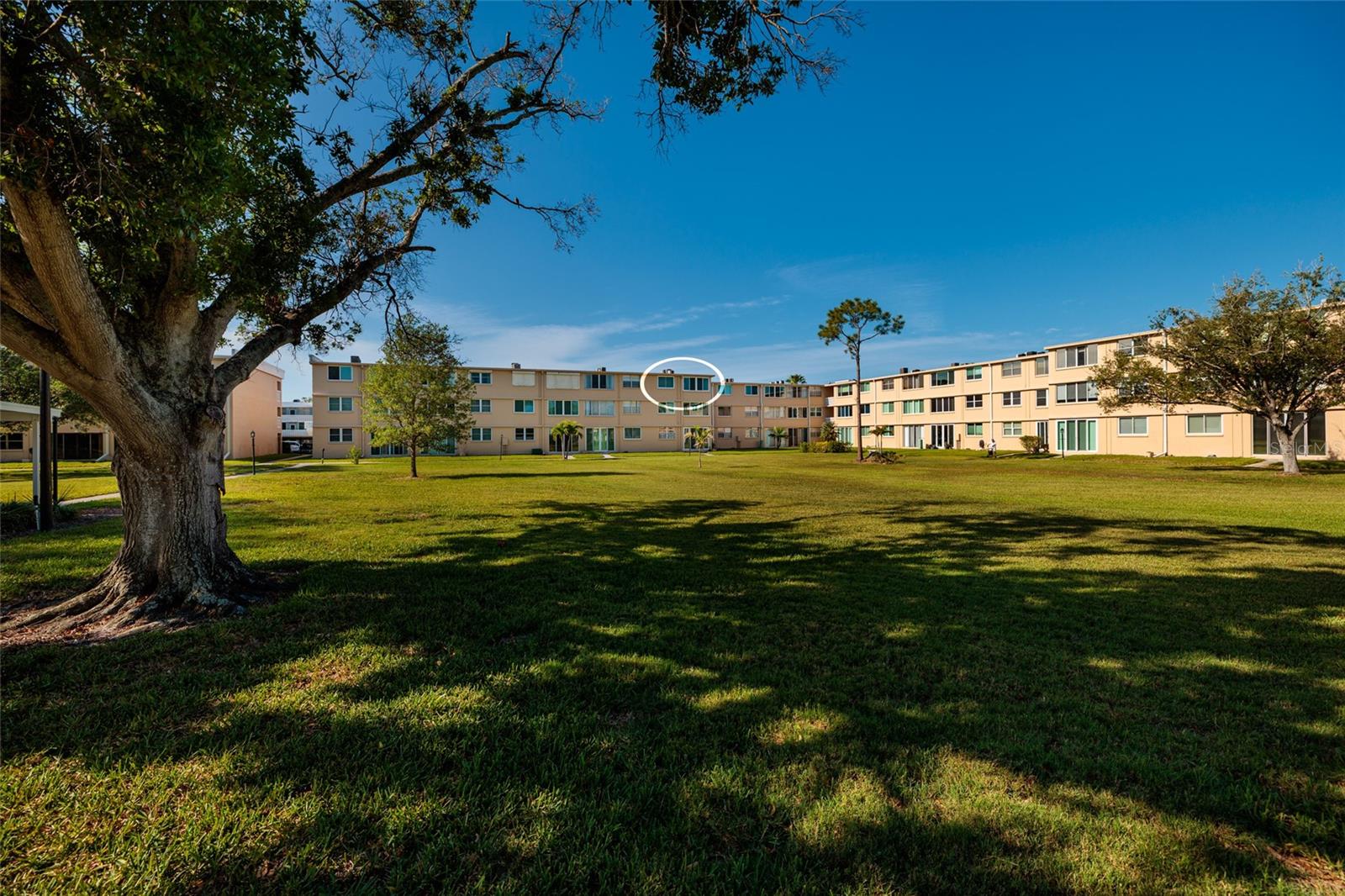 4915 BAY ST NE #331, ST PETERSBURG, FL, 33703