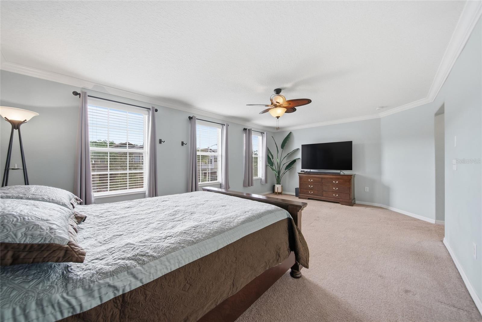 18891 HAMPSTEAD HEATH CT, LAND O LAKES, FL, 34638