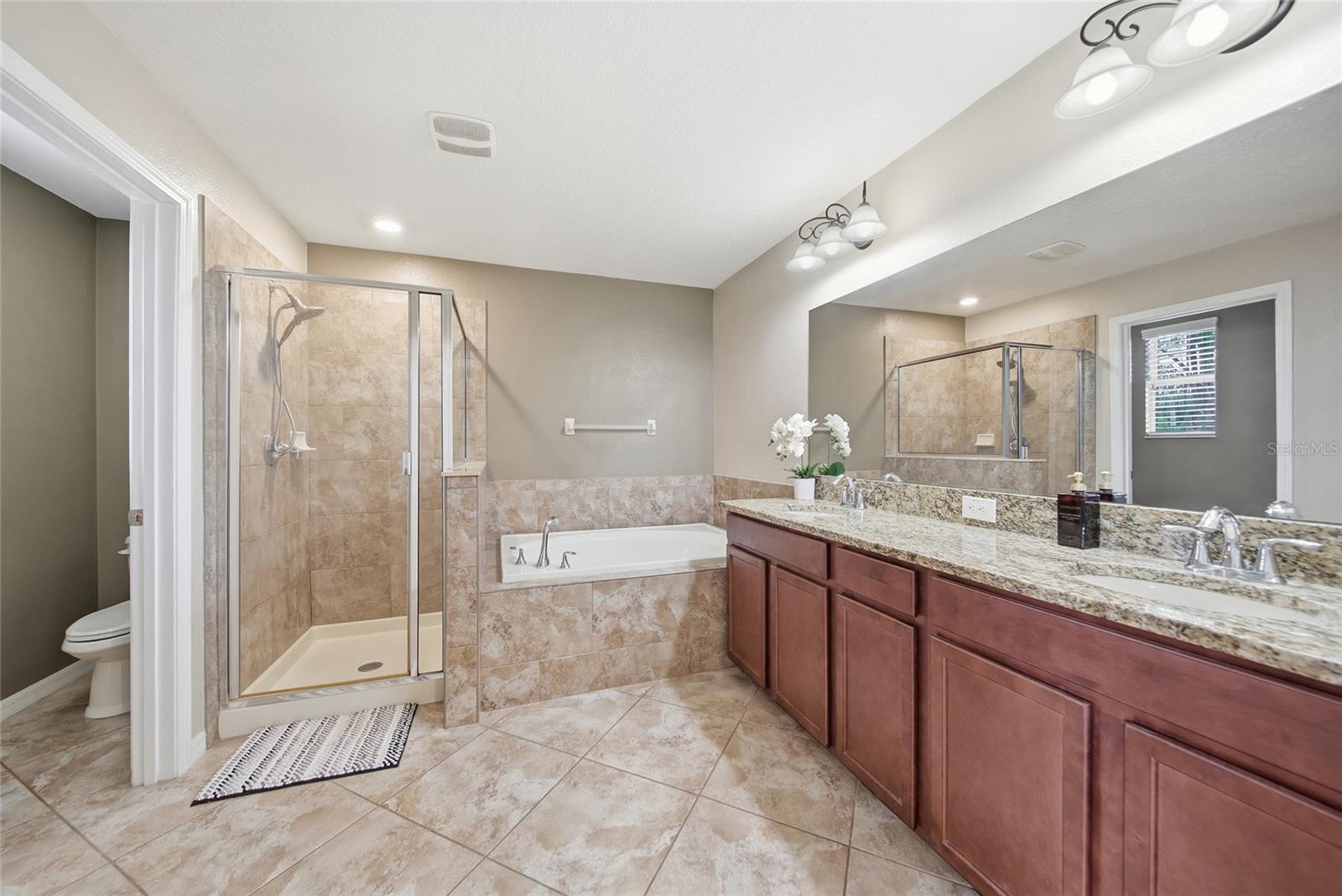 18891 HAMPSTEAD HEATH CT, LAND O LAKES, FL, 34638