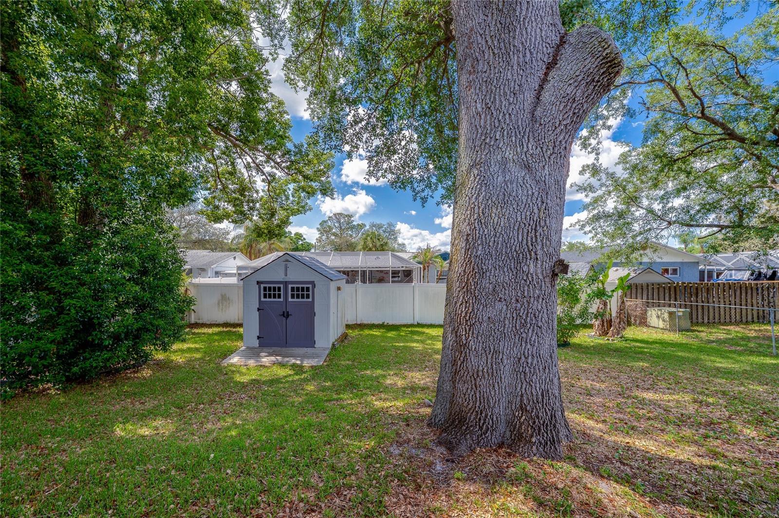 667 GEORGE MILLER CIR, PORT ORANGE, FL, 32127