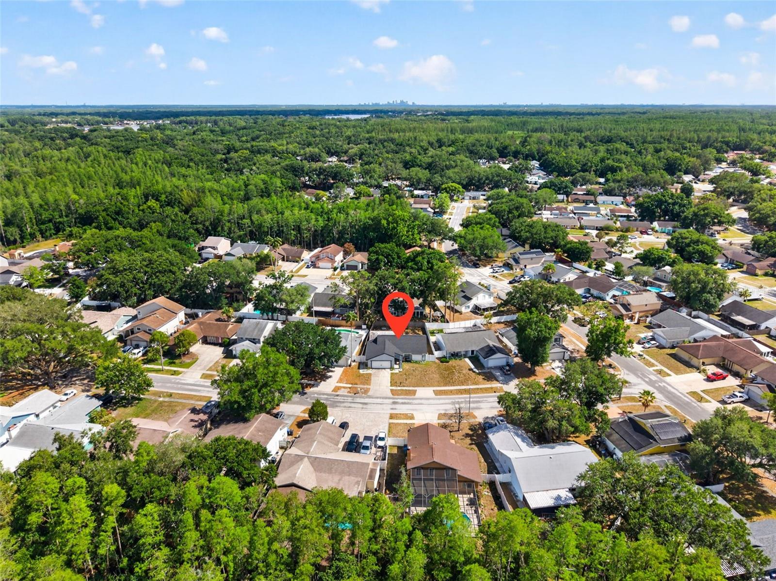 2705 LAKEVILLE DR, TAMPA, FL, 33618