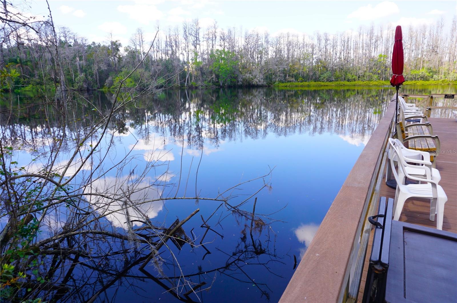 20853 HAULOVER CV #A12, LUTZ, FL, 33558