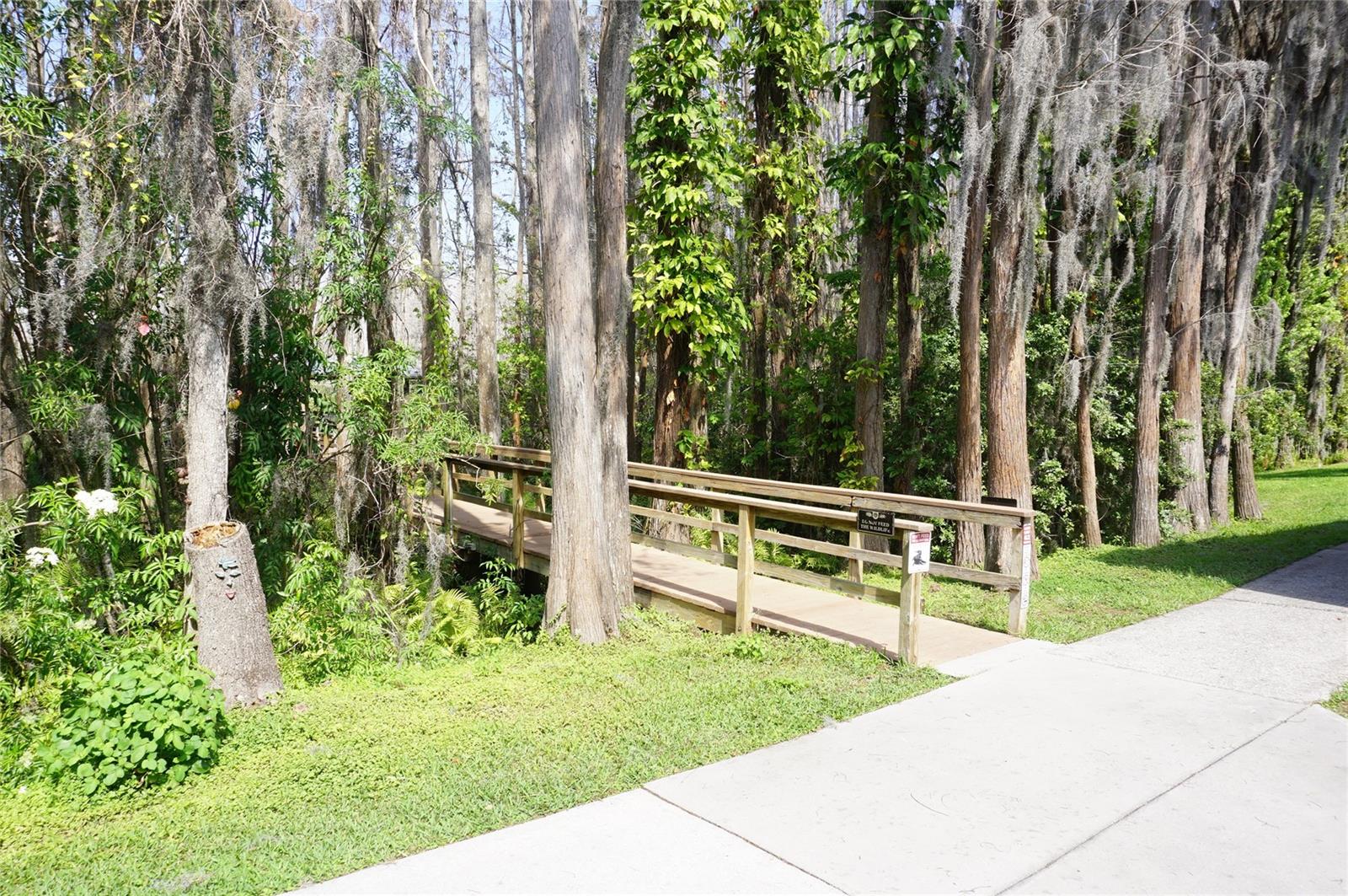 20853 HAULOVER CV #A12, LUTZ, FL, 33558