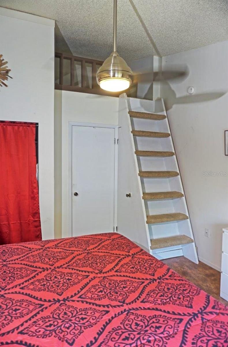 20853 HAULOVER CV #A12, LUTZ, FL, 33558