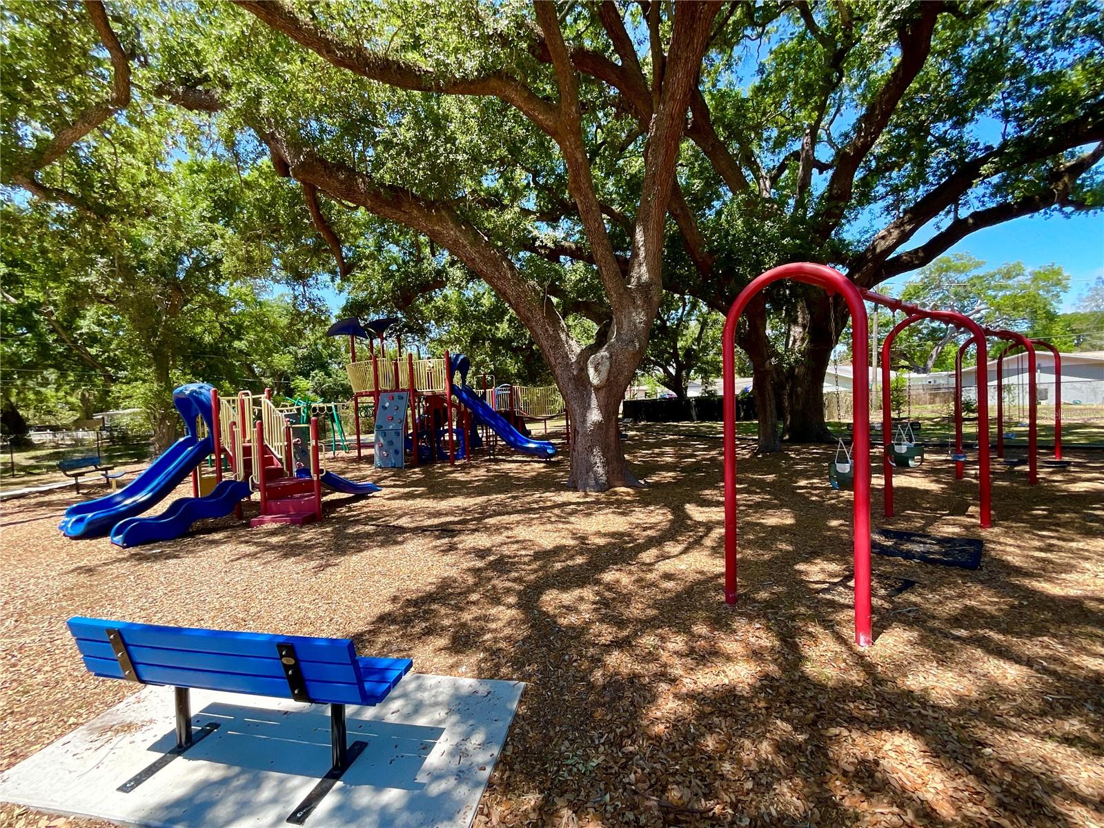 1145 7TH ST N, SAFETY HARBOR, FL, 34695