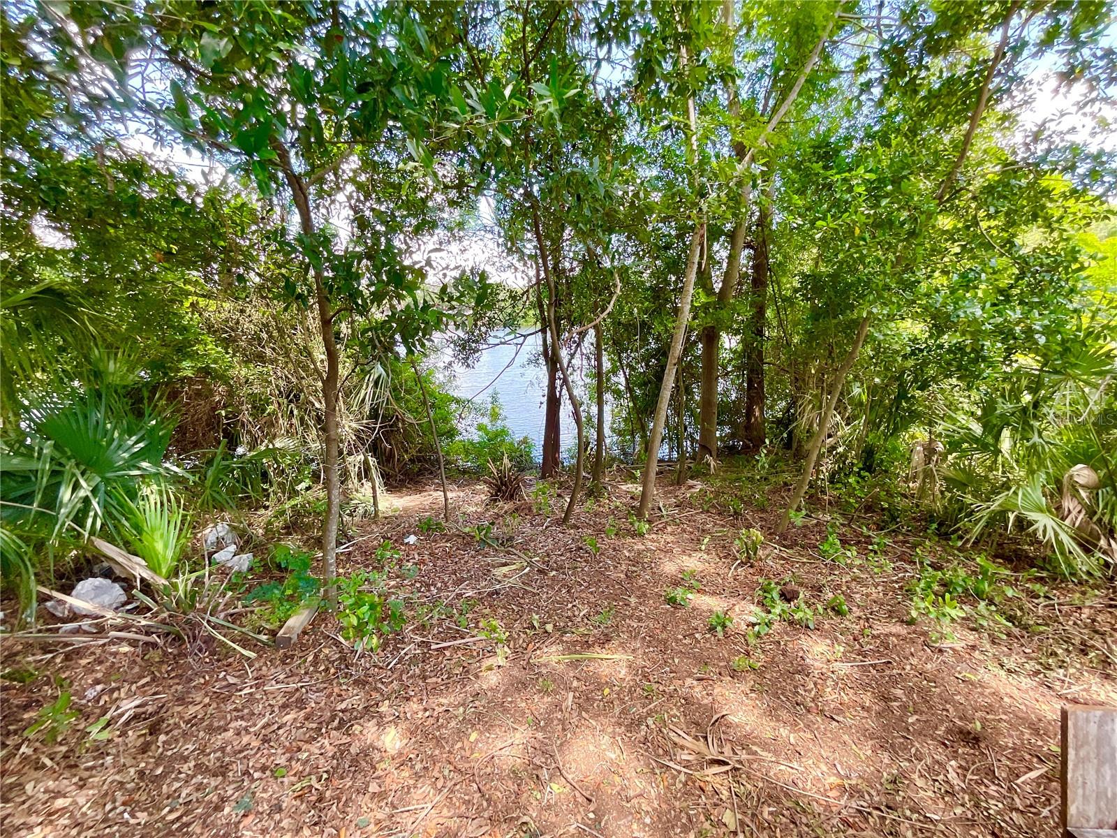 1145 7TH ST N, SAFETY HARBOR, FL, 34695