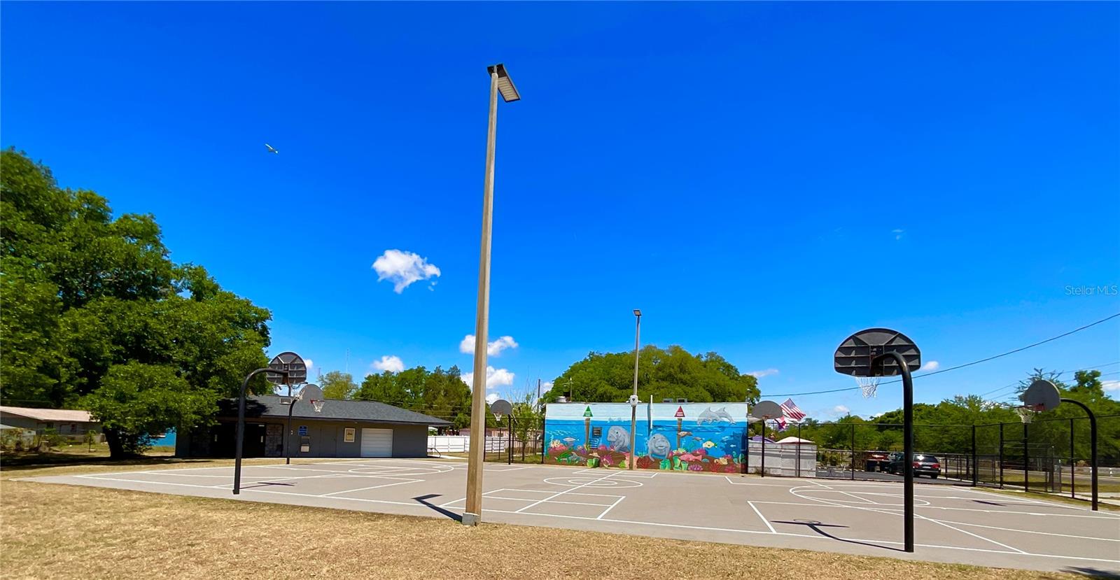1145 7TH ST N, SAFETY HARBOR, FL, 34695