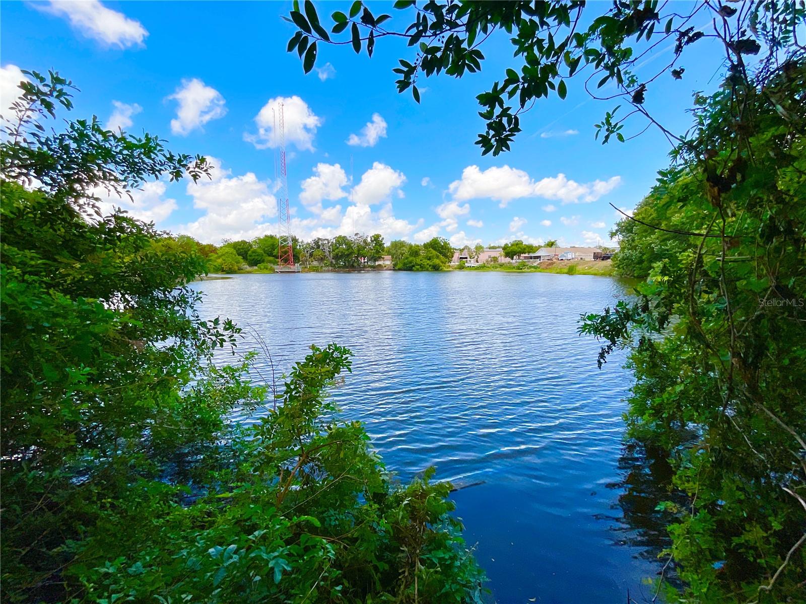 1145 7TH ST N, SAFETY HARBOR, FL, 34695