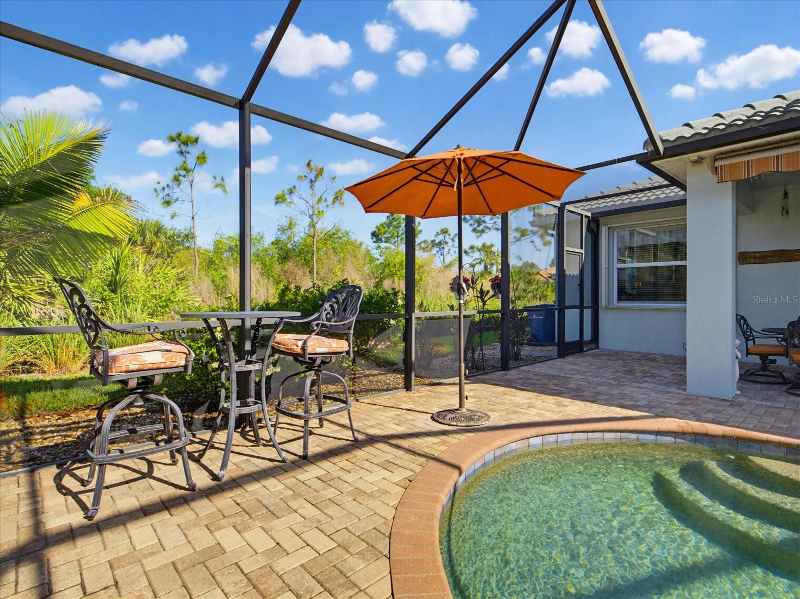 11697 SPOTTED MARGAY AVE, VENICE, FL, 34292