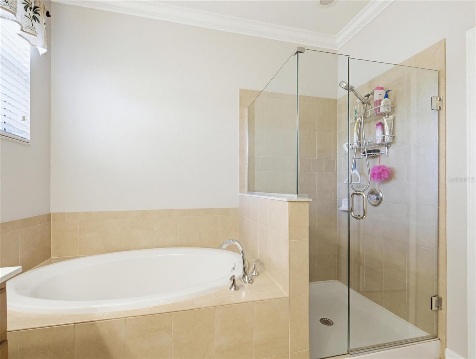 11697 SPOTTED MARGAY AVE, VENICE, FL, 34292